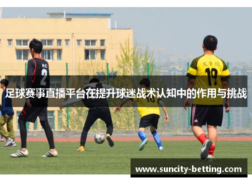 足球赛事直播平台在提升球迷战术认知中的作用与挑战